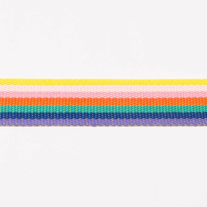 40mm Regenbogen Gurtband II