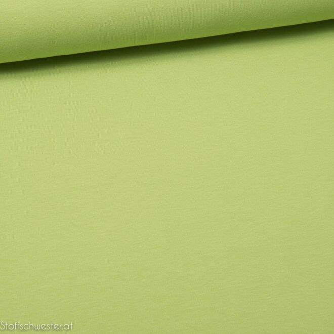 Kuscheljersey kiwigrün