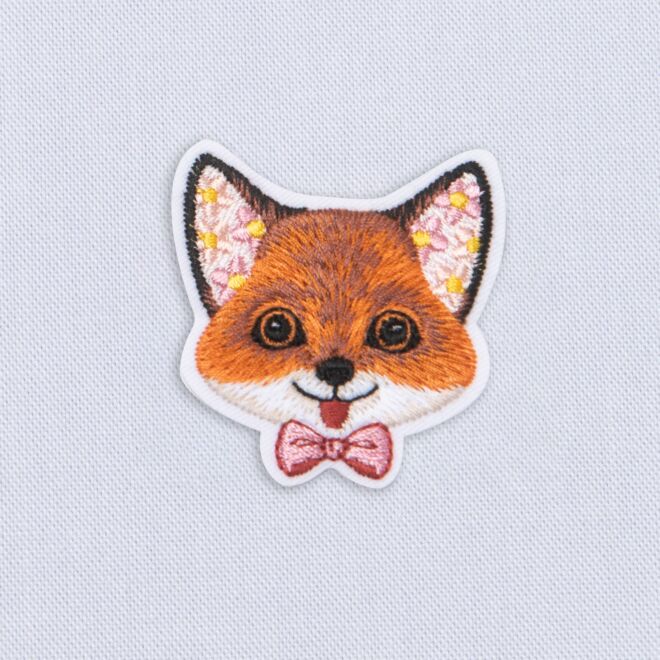 Fridolin Fuchs Aufbügler