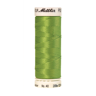 Poly Sheen, 200m - Erin Green FNr. 5912