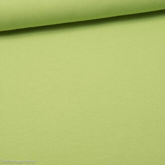 Kuscheljersey kiwigrün